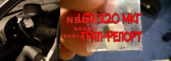 крисы Беломорск