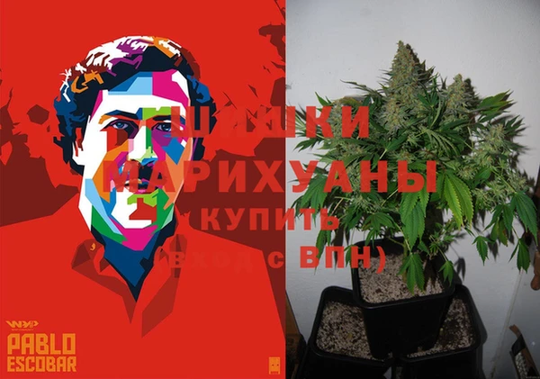 метамфетамин Белокуриха