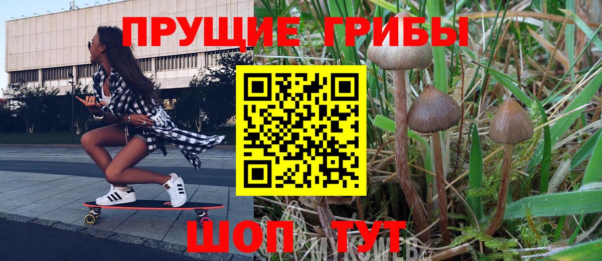 Галлюциногенные грибы ЛСД  Беслан 