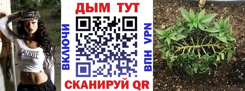 наркота  Беслан  дарк нет как зайти  Марихуана планчик 