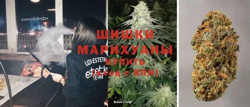 Шишки марихуана OG Kush  Беслан 