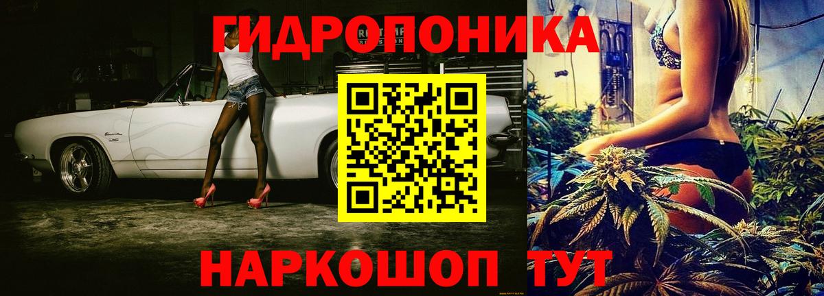 Бошки марихуана марихуана Беслан